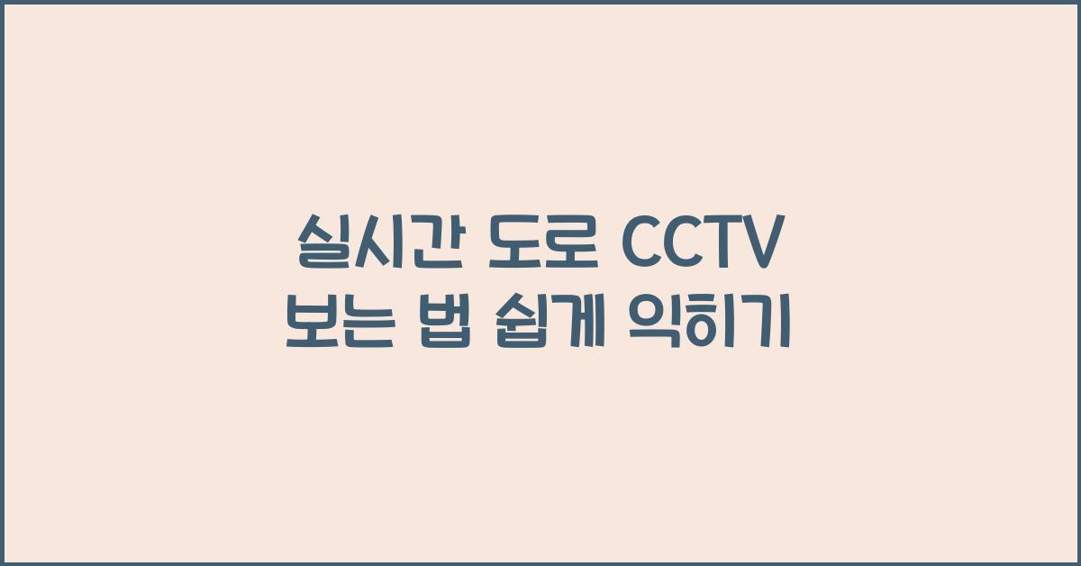 실시간 도로 cctv 보는 법