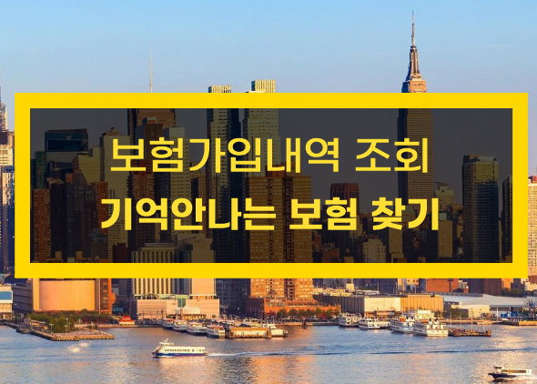  한번에 모든 보험가입내역 조회하는 방법