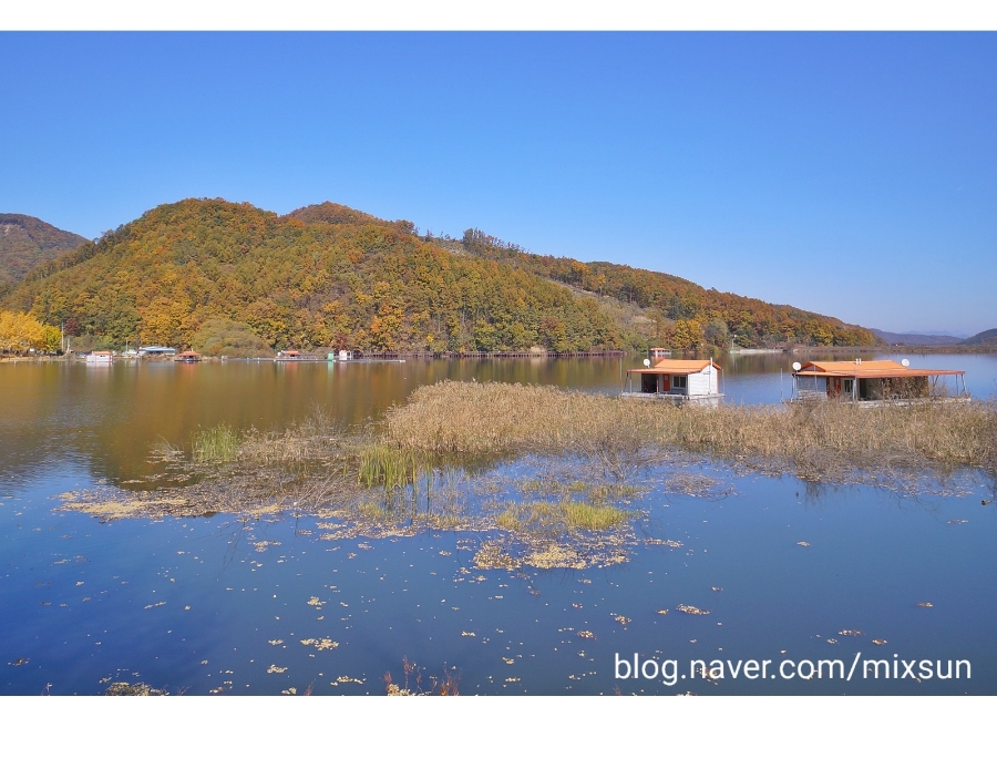 단풍구경 가볼만한 곳 괴산 가볼만한곳 12