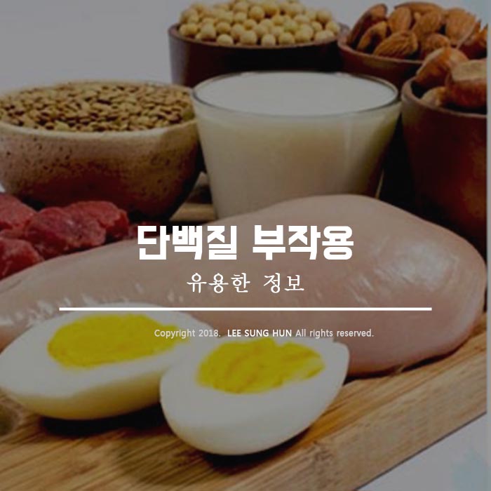  단백질 부작용 알아봤습니다.