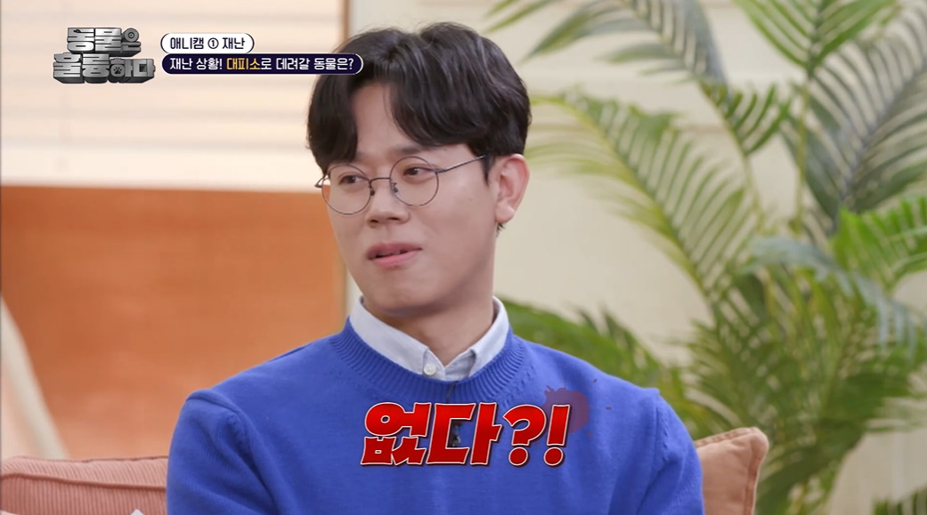 반려인들은 알아두면 좋을 만한 정보들...jpg | 인스티즈