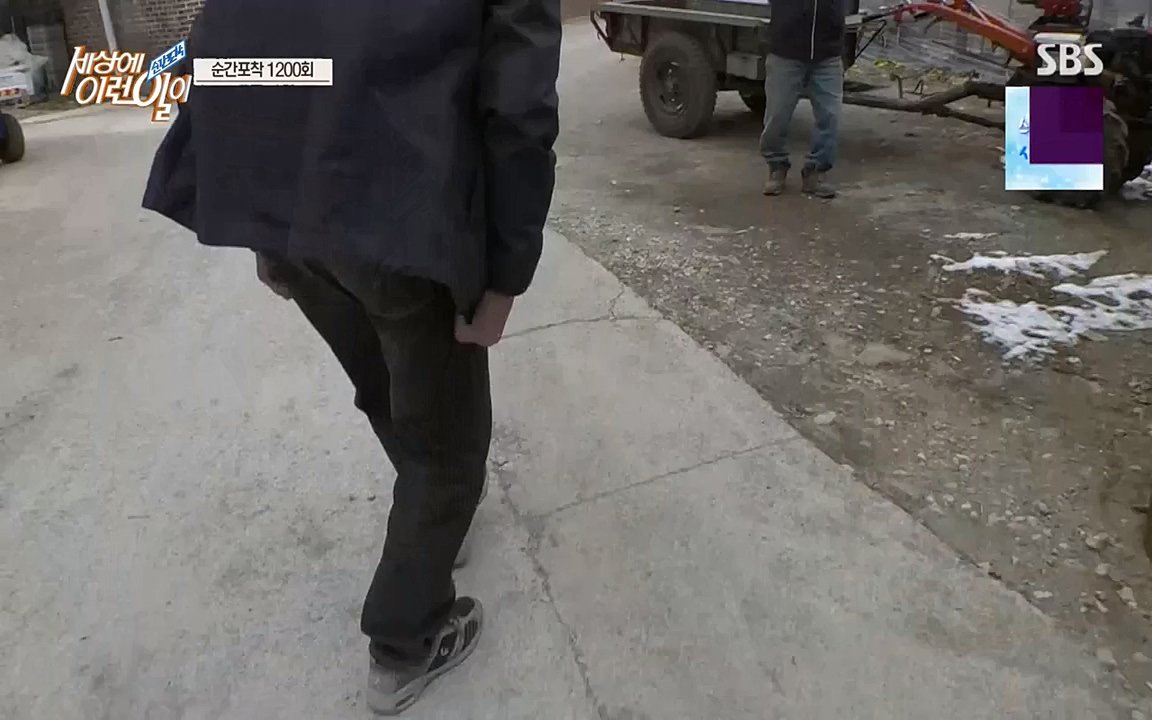 순간포착 세상에 이런일이.E1200.221005p-NEXT.mp4_20221005_201440.167.jpg