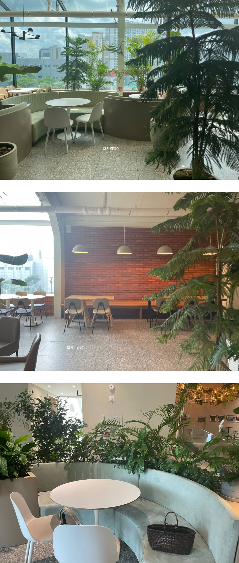 동탄 베이커리 카페 아스타나 - 식물 친화적인 좌석들