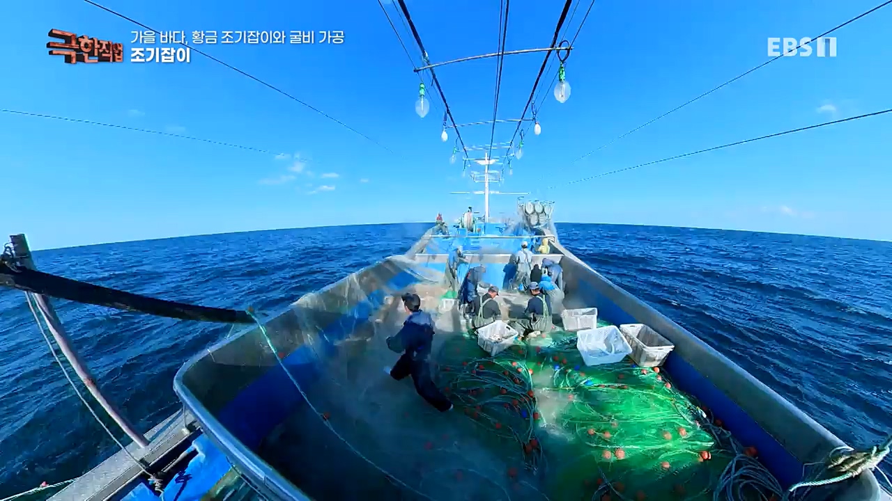 TV - 교육의 중심 EBS가을 바다 황금 조기잡이와 굴비 가공.mp4_20221122_195432.772.jpg