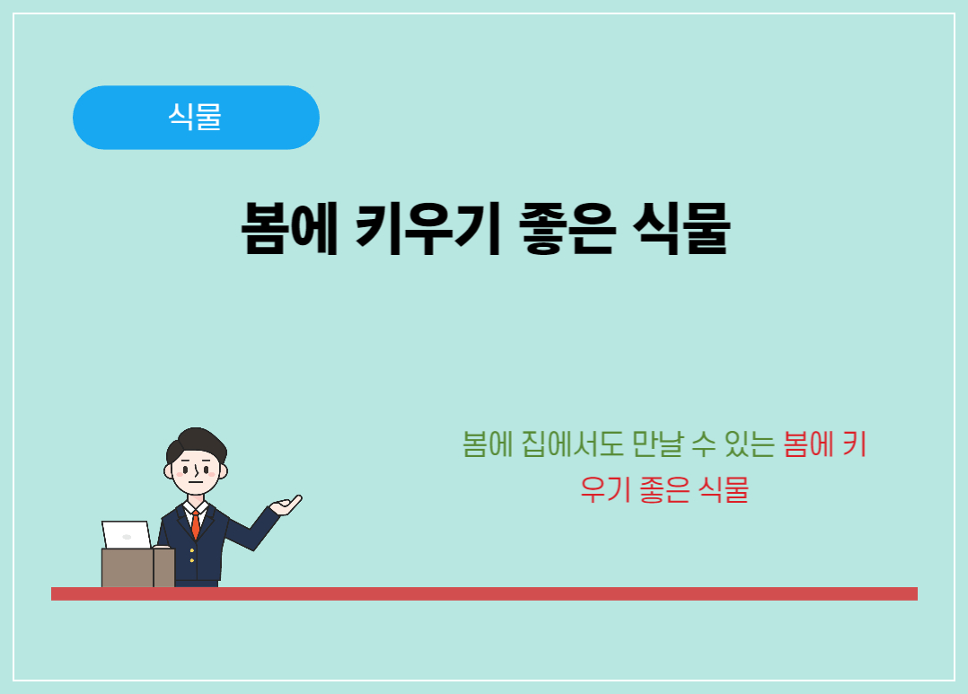 봄에 키우기 좋은 식물