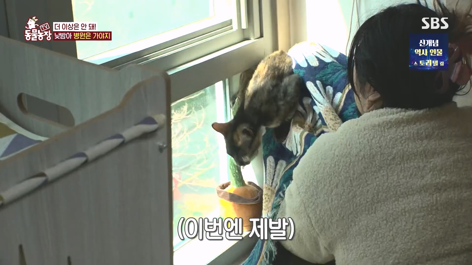 TV 동물농장.E1136.230903p.H264-F1RST.mp4_20230903_180358.424.jpg