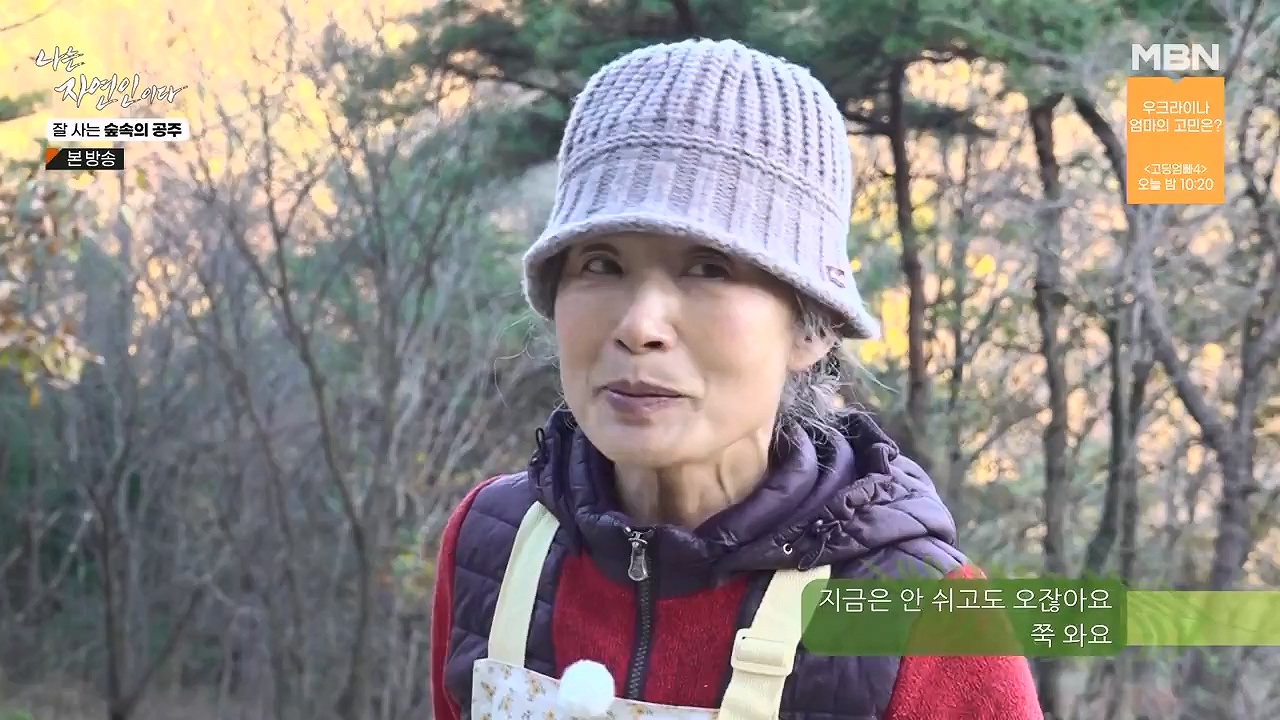 나는 자연인이다.E582.231130p-NEXT.mp4_20231130_200822.068.jpg