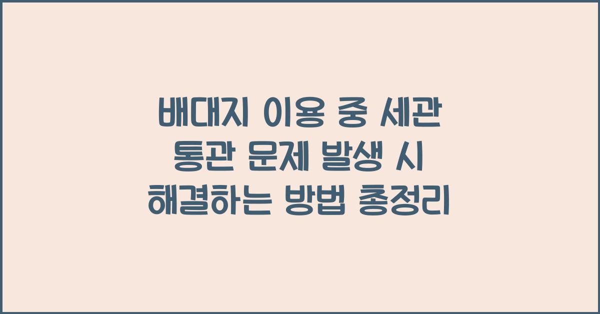 배대지 이용 중 세관 통관 문제 발생 시 해결하는 방법