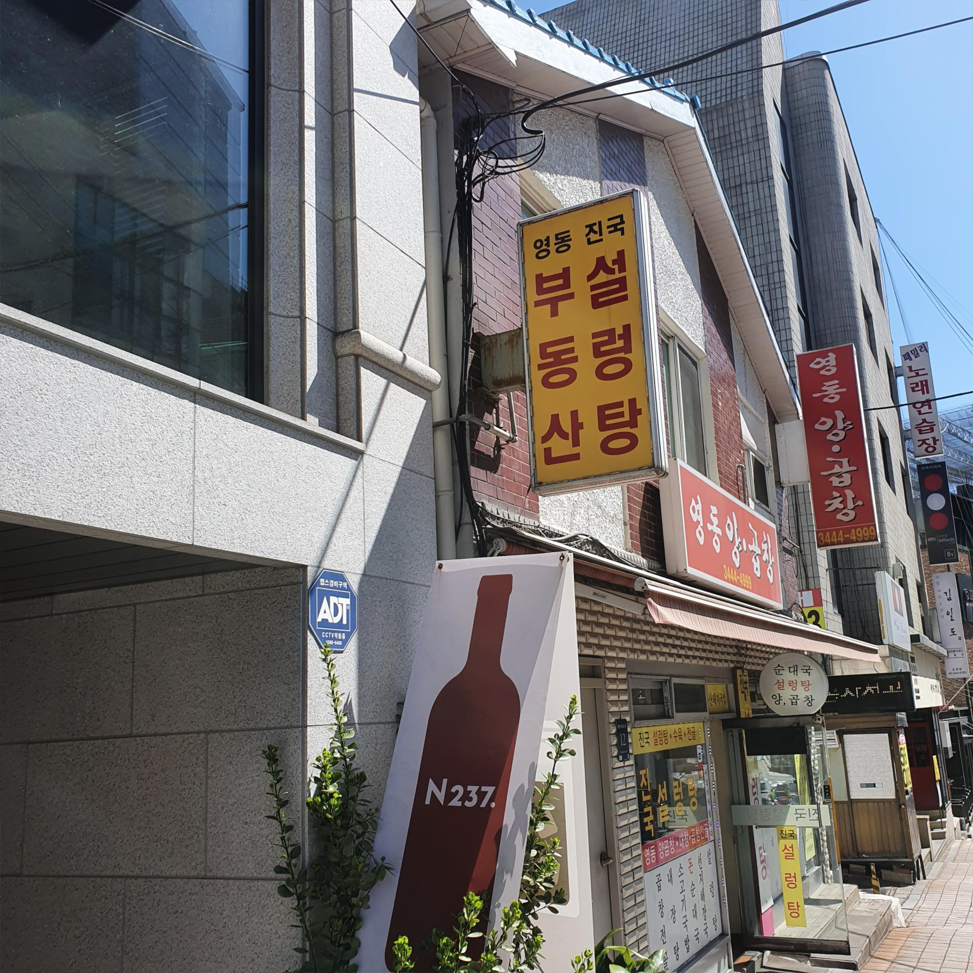  영동 양.곱창 (진국 설렁탕) 후기