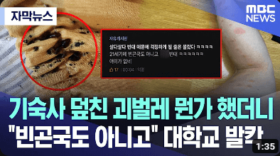 빈대 계명대학교 츌몰 뉴스