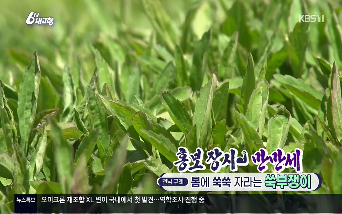 6시 내고향.E7509.220413p.H264-F1RST.mp4_20220418_193728.037.jpg
