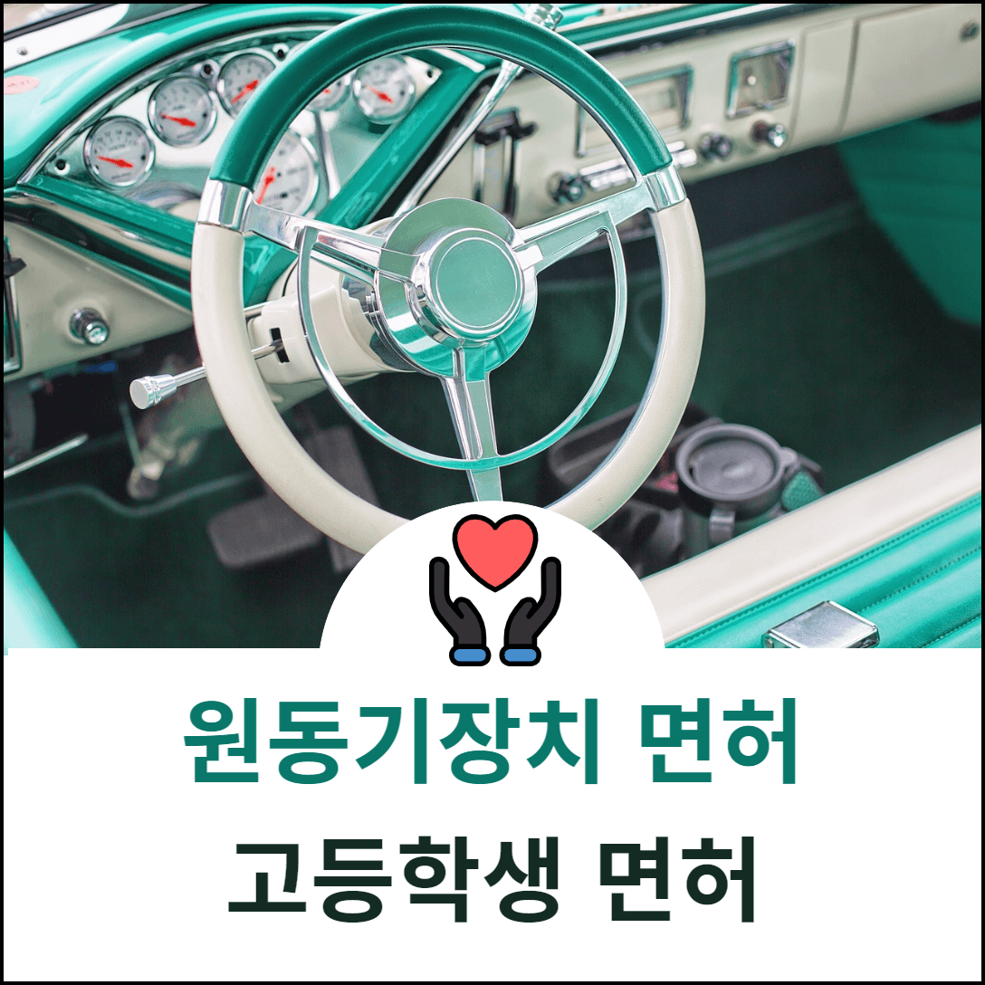 자동차 면허 취득