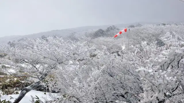 겨울여행-발왕산케이블카정상