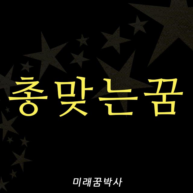  총 맞는 꿈 :: 머리에, 가슴에 총맞아 죽는 꿈해몽