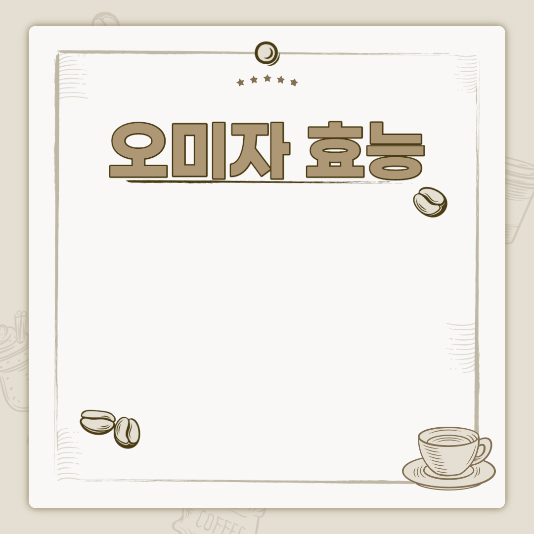  오미자 효능