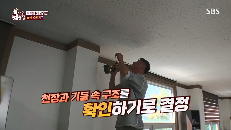 TV 동물농장.E1124.230611p.H264-F1RST.mp4_20230611_173543.226.jpg