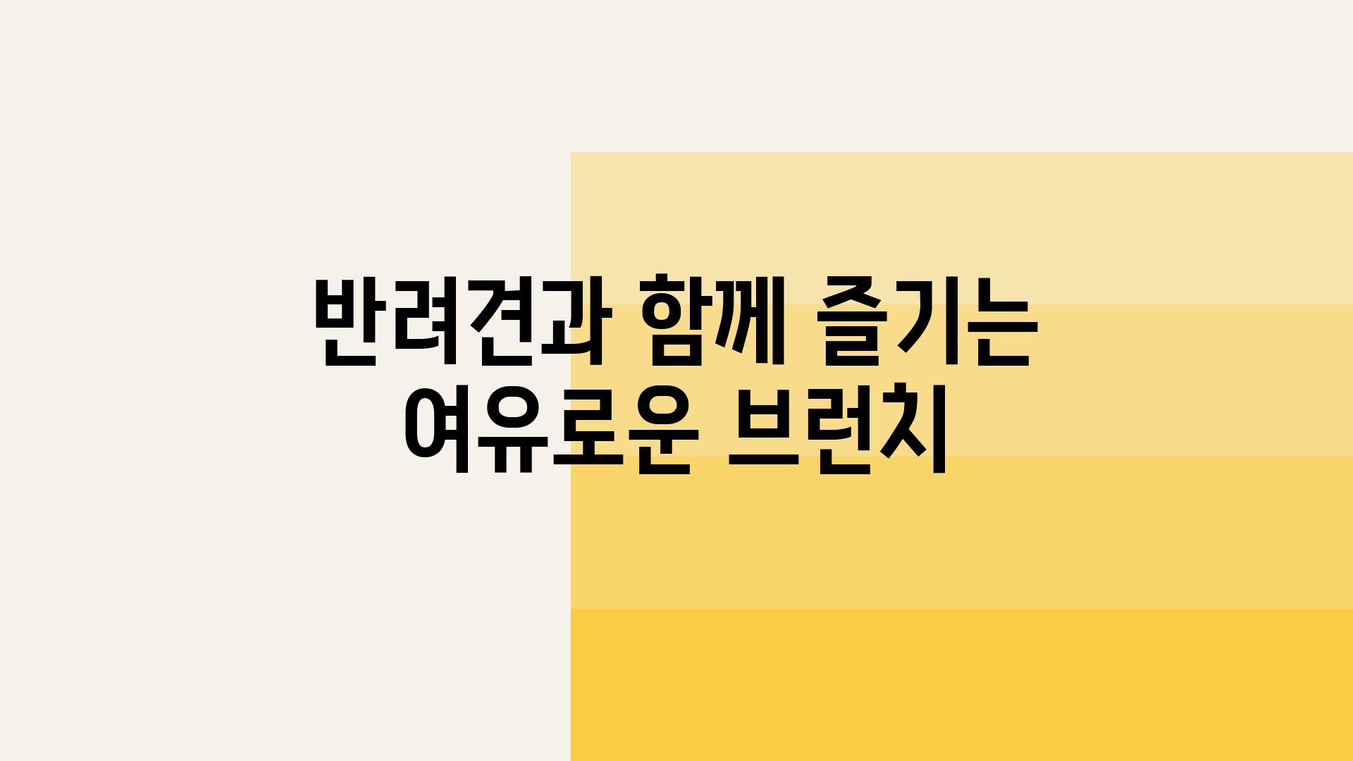 반려견과 함께 즐기는 여유로운 브런치