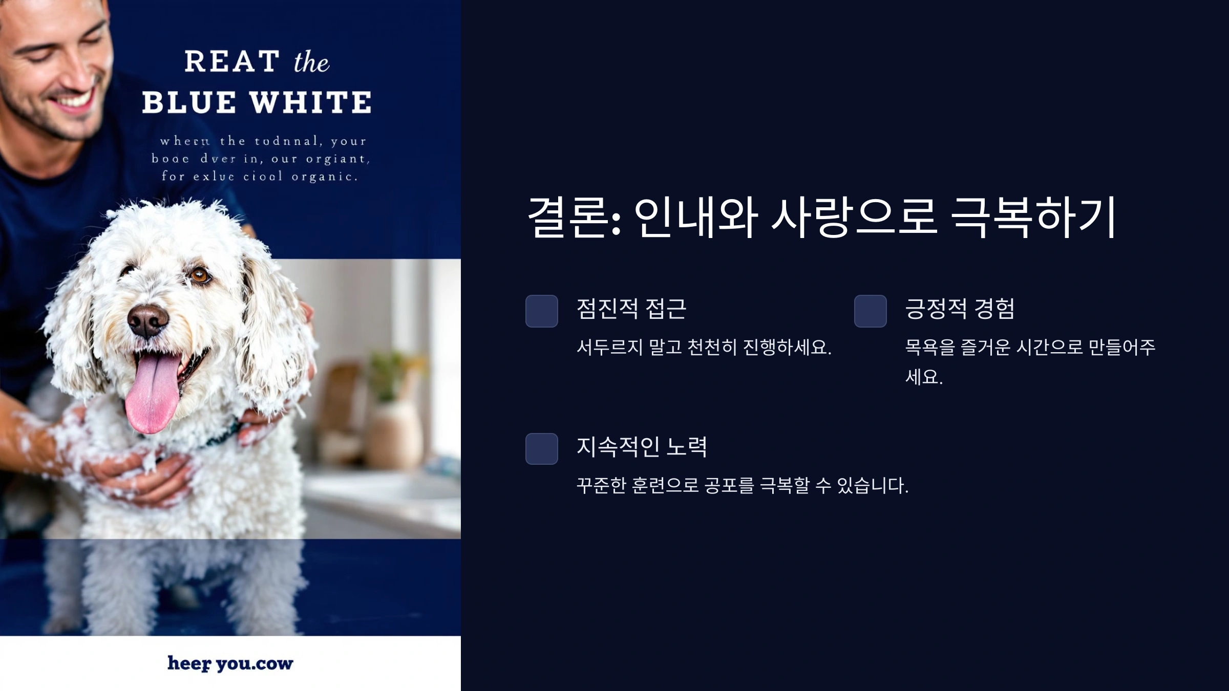 강아지가 목욕을 무서워할 때 해결 방법