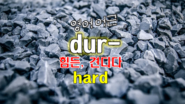영어어원사전] 어근 Dur-로 영어단어 공부하기 (라틴어 어원; Durus, Durare)
