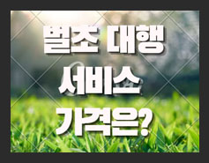 올핸  벌초대행이 대세..벌초대행 가격은?