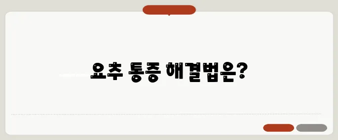 요추 통증 원인과 스트레칭