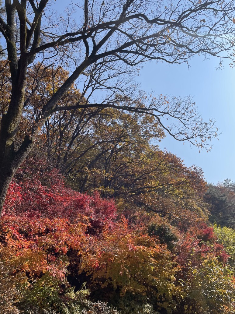 카페 들