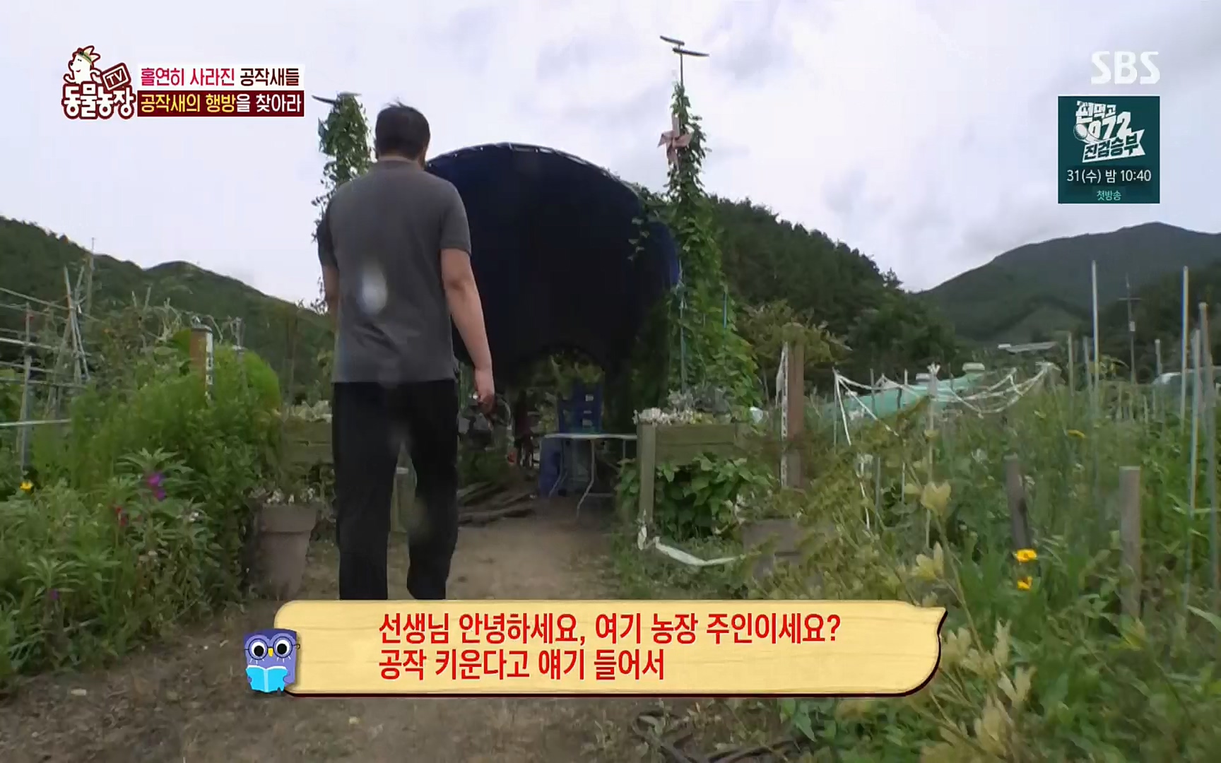 TV 동물농장.E1084.220828p.H264-F1RST.mp4_20220828_154047.493.jpg