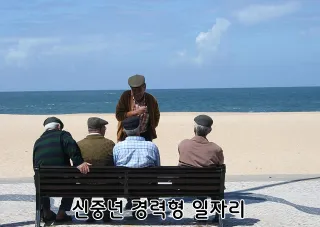 신중년 경력형 일자리