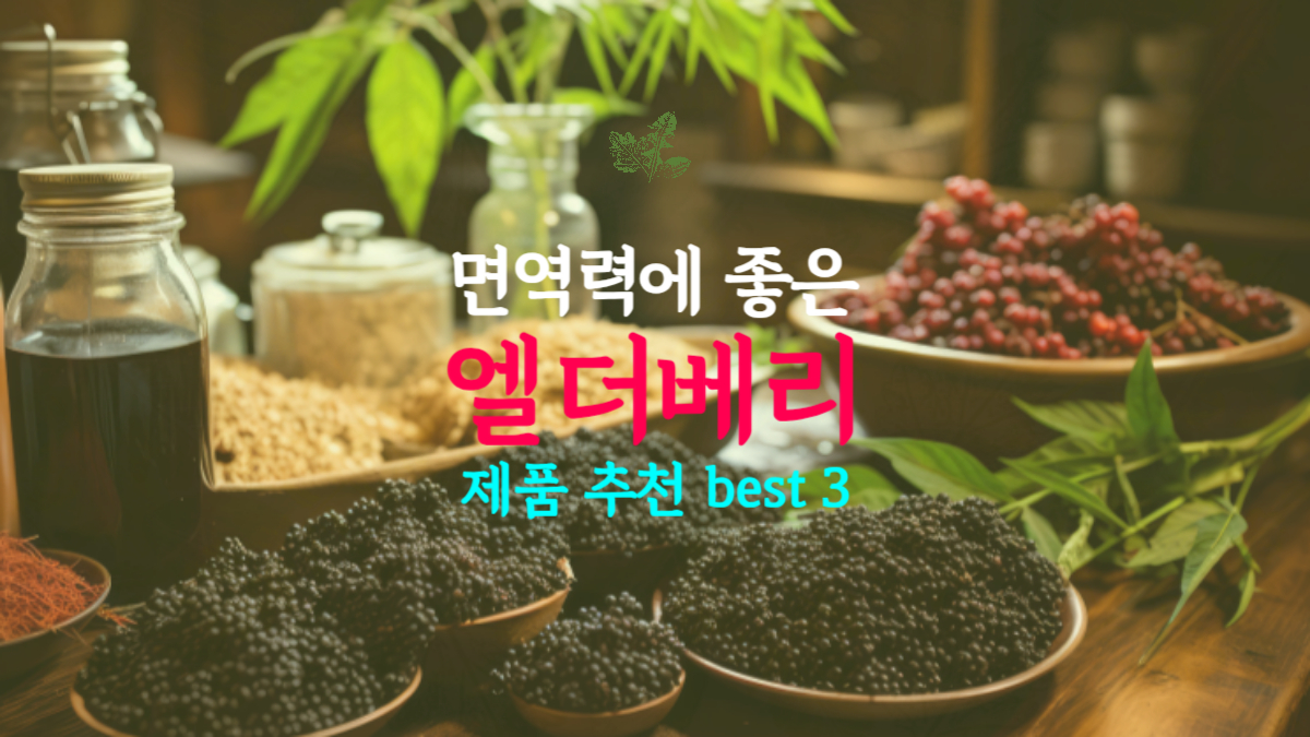 엘더베리 제품 추천 best 3