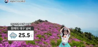 장흥 가볼만한곳 베스트10 현지인 추천 필수코스_15