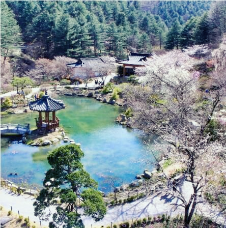 아침고요수목원-봄꽃페스타-전경