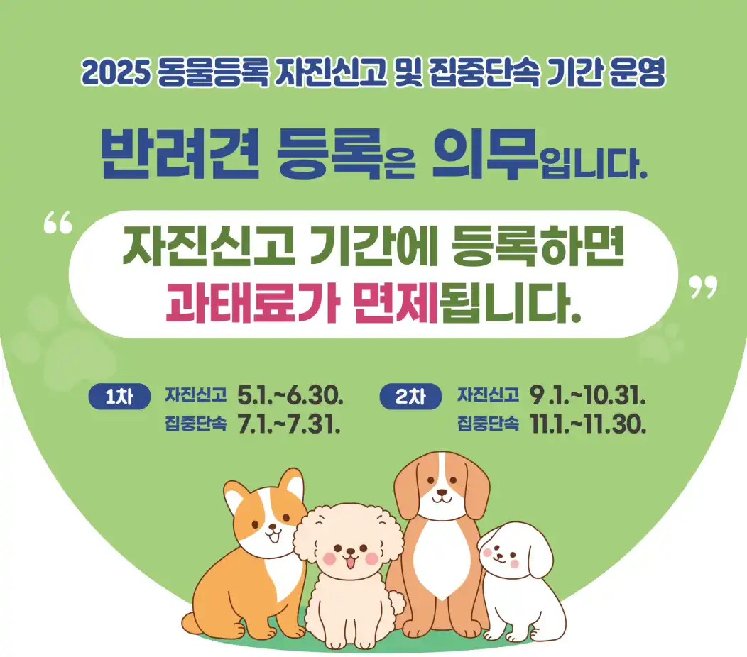 반려견 등록 과태료 부과 기준·단속 시기