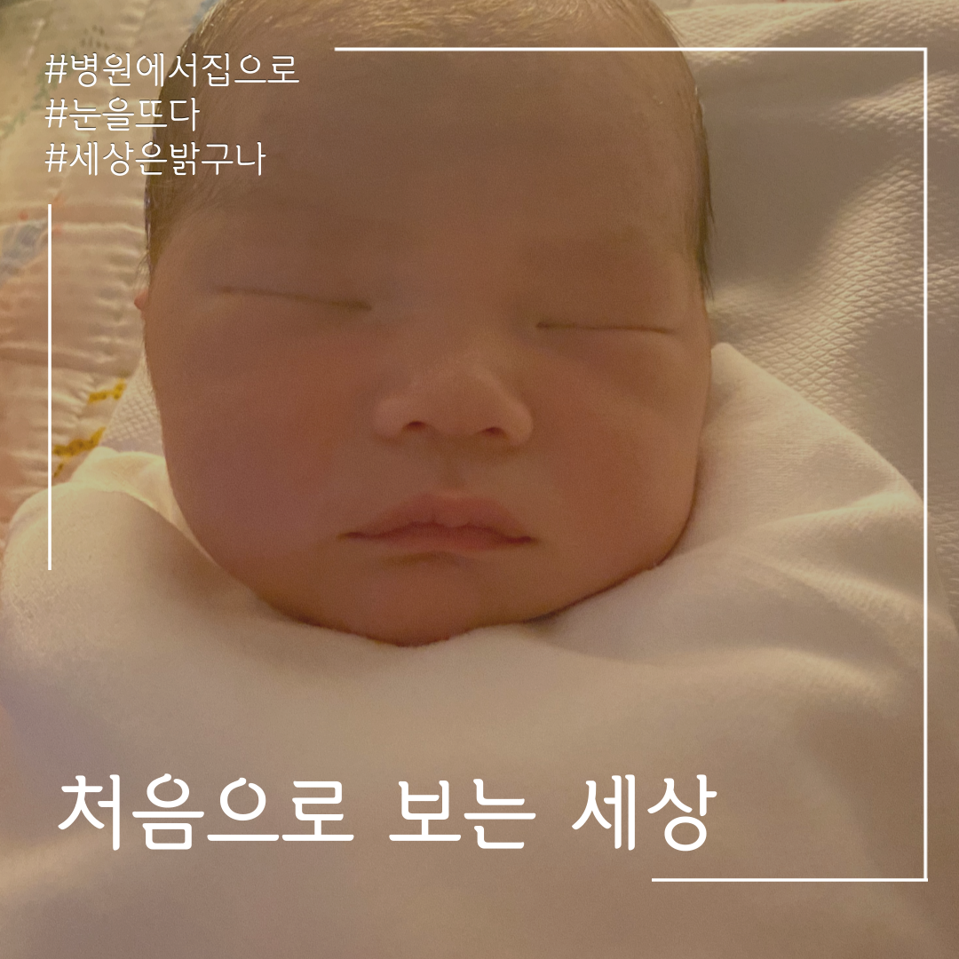  찰떡이가 처음으로 보는 세상