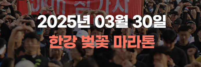2025 한강 벚꽃 마라톤