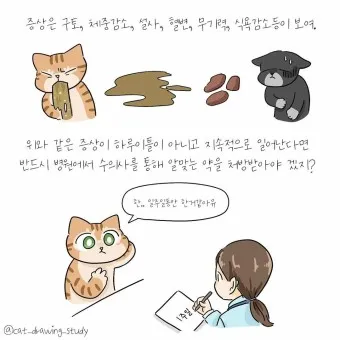 배가 부글부글 설사 원인파악 대처법_20