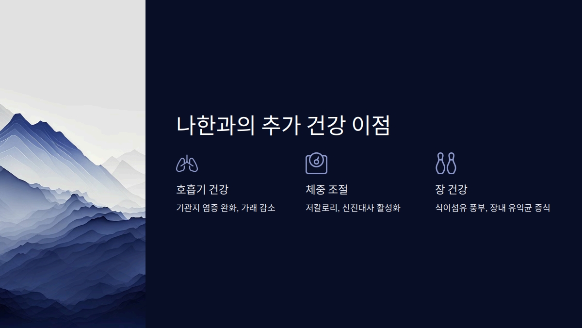 나한과 효능