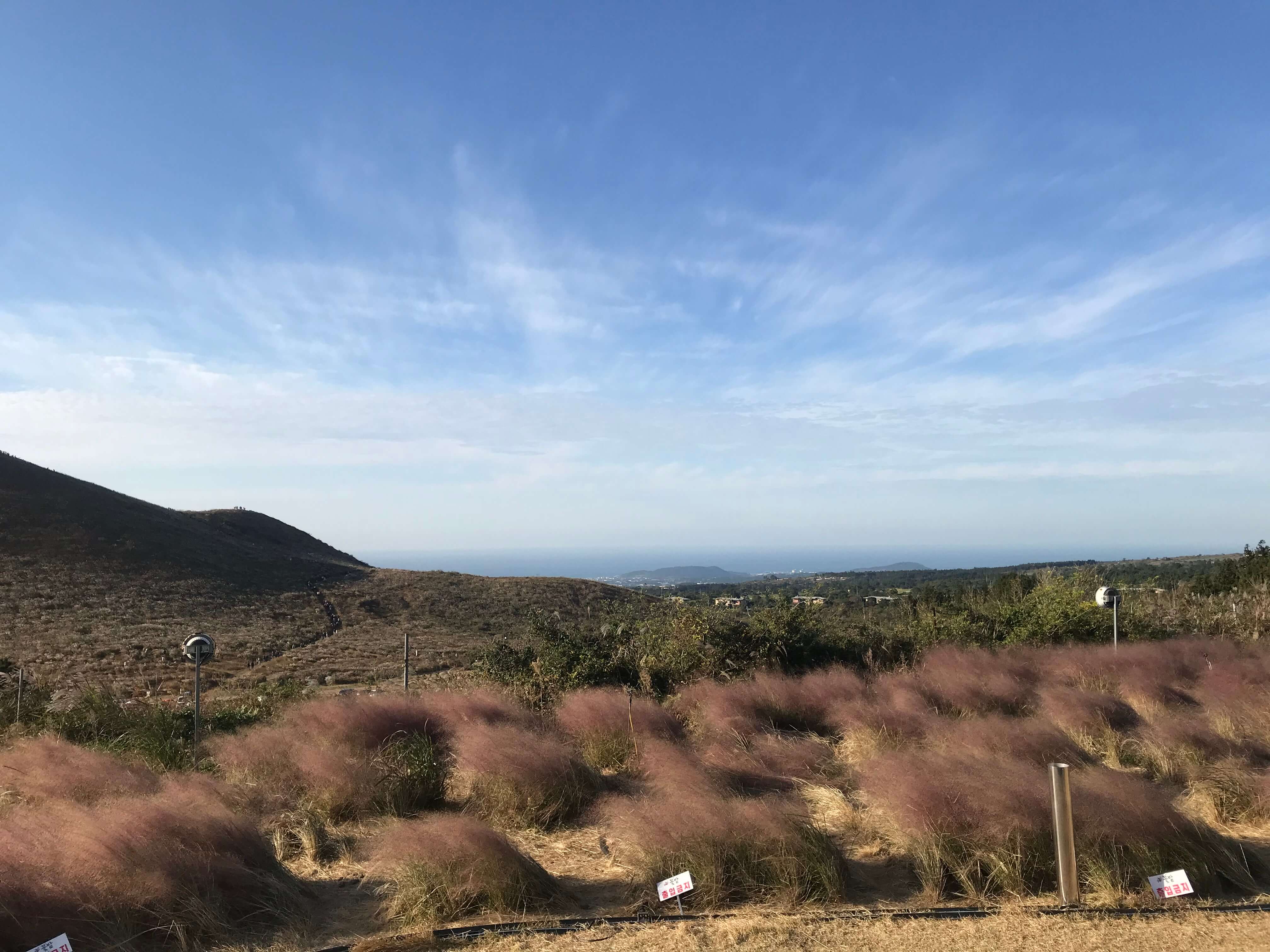 제주 가을 여행