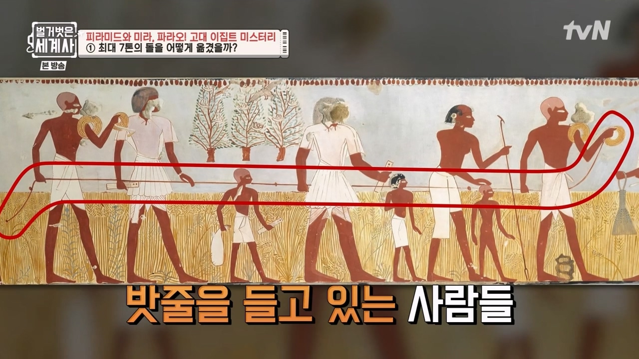 벌거벗은 세계사.E91.230322p-NEXT.mp4_20230422_180052.117.jpg