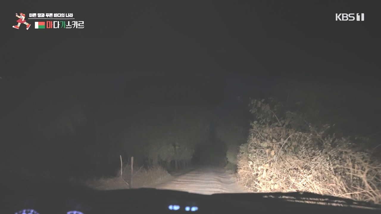 걸어서 세계속으로.E814.231022p-NEXT.mp4_20231022_170319.941.jpg