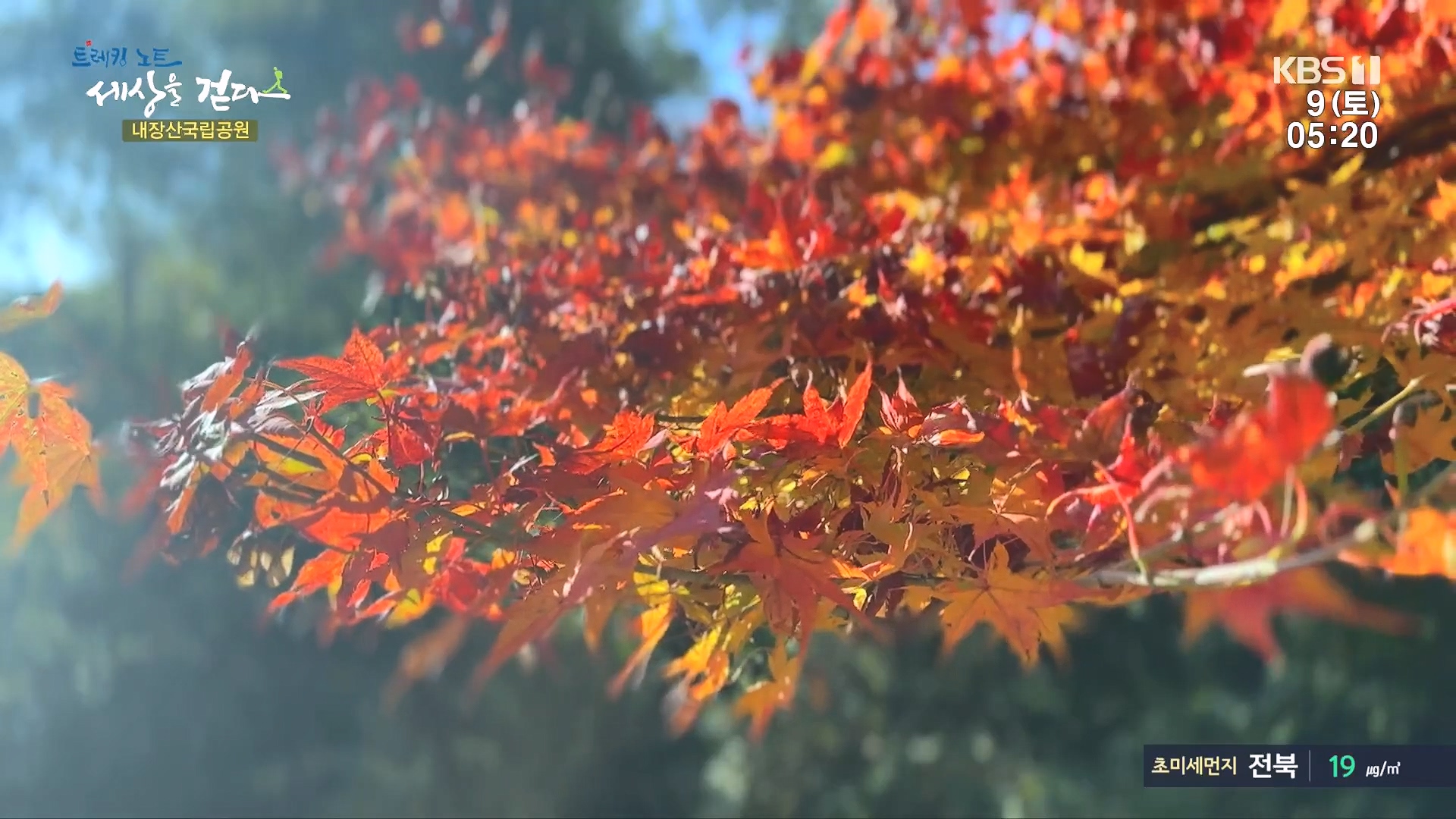 트레킹노트 세상을 걷다.E298.231209p.H264-F1RST.mp4_20240105_203625.382.jpg