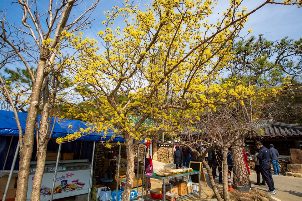 윤스테이 구례 구례 가볼만한곳 윤스테이 14