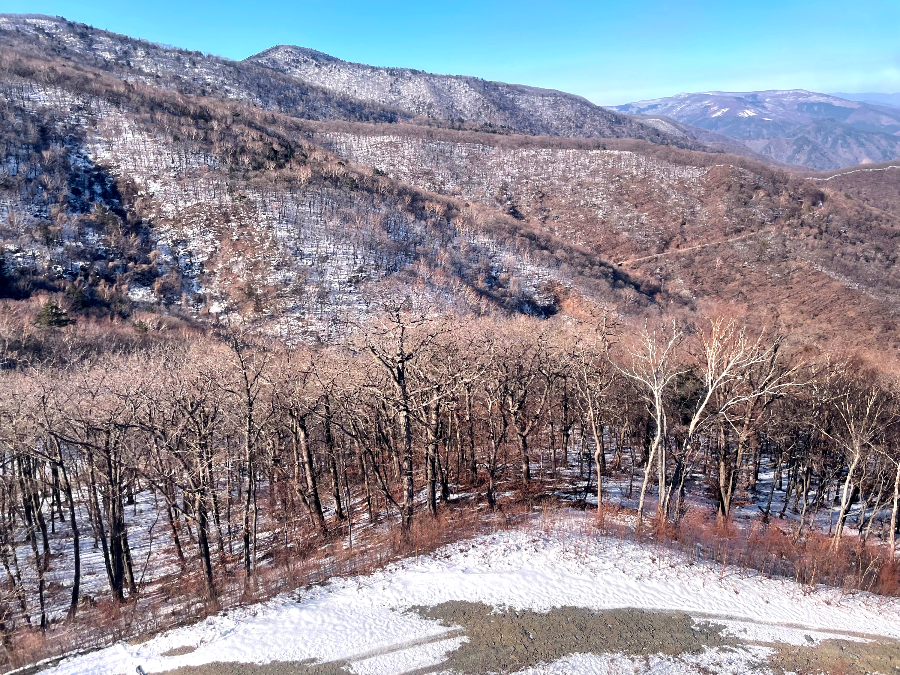 가리왕산 케이블카 체험여행안내 : 가리왕산역 전망대 구경 및 하산