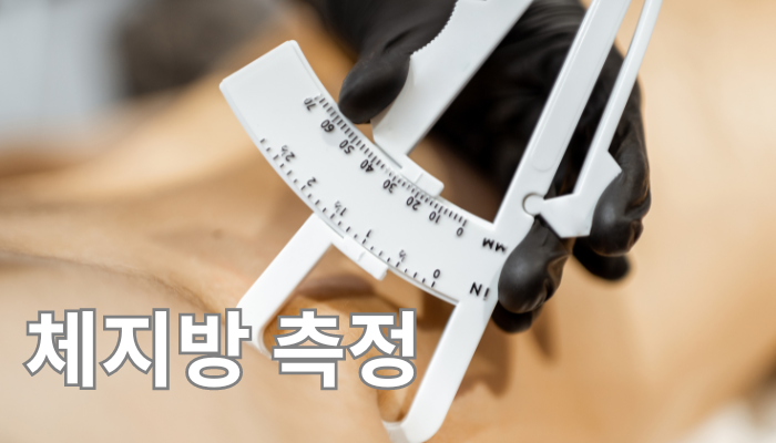 체지방률