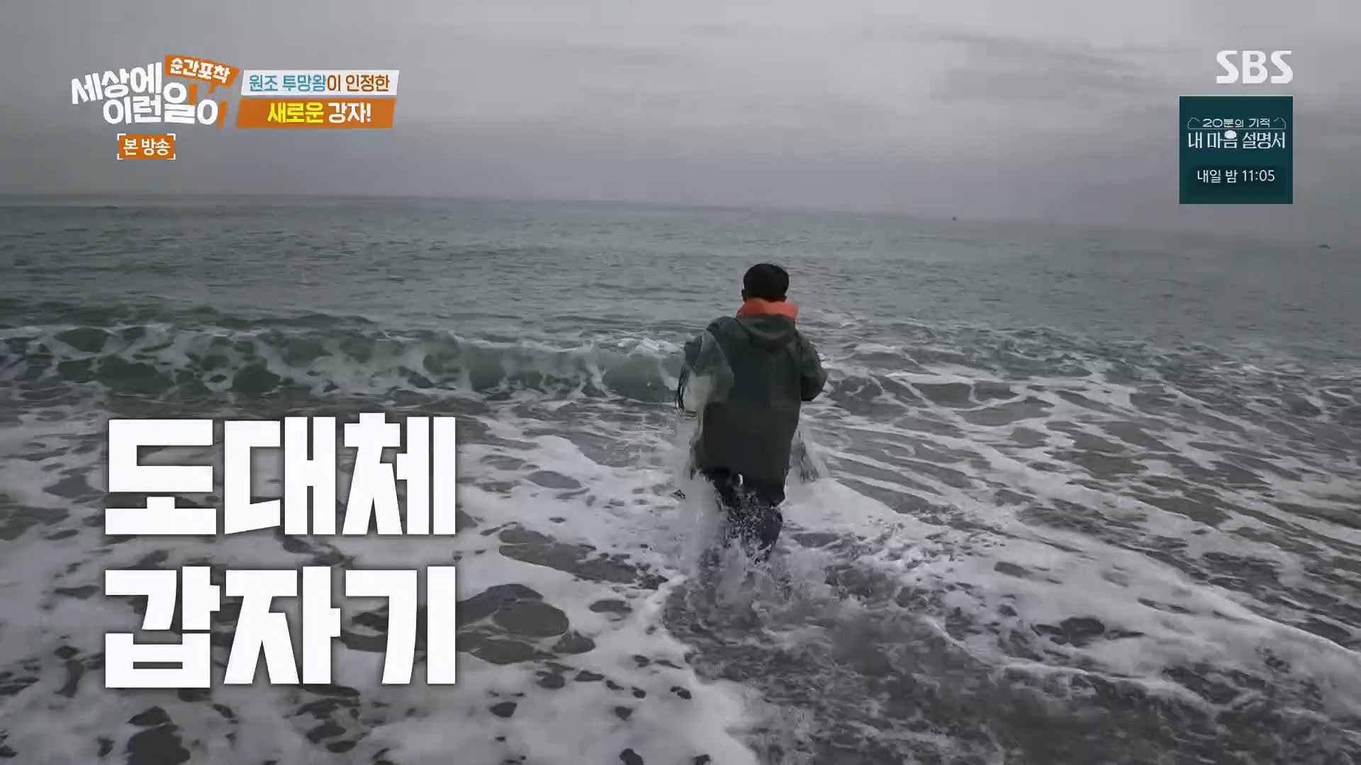 순간포착 세상에 이런일이.E1278.240518p.H264-F1RST.mp4_20240519_155521.438.jpg