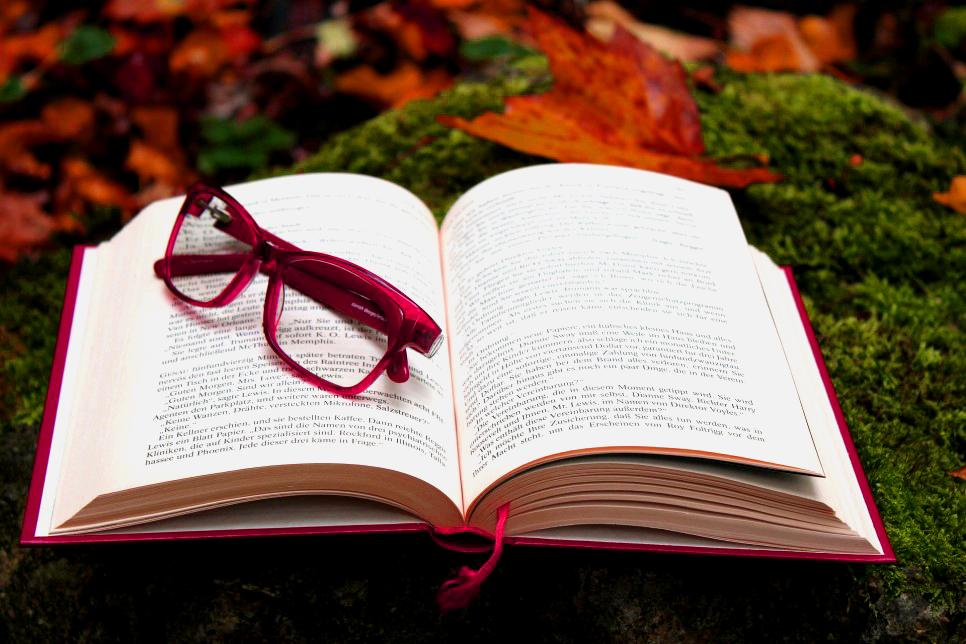 봄의 하인 같은 사위 김유정 6