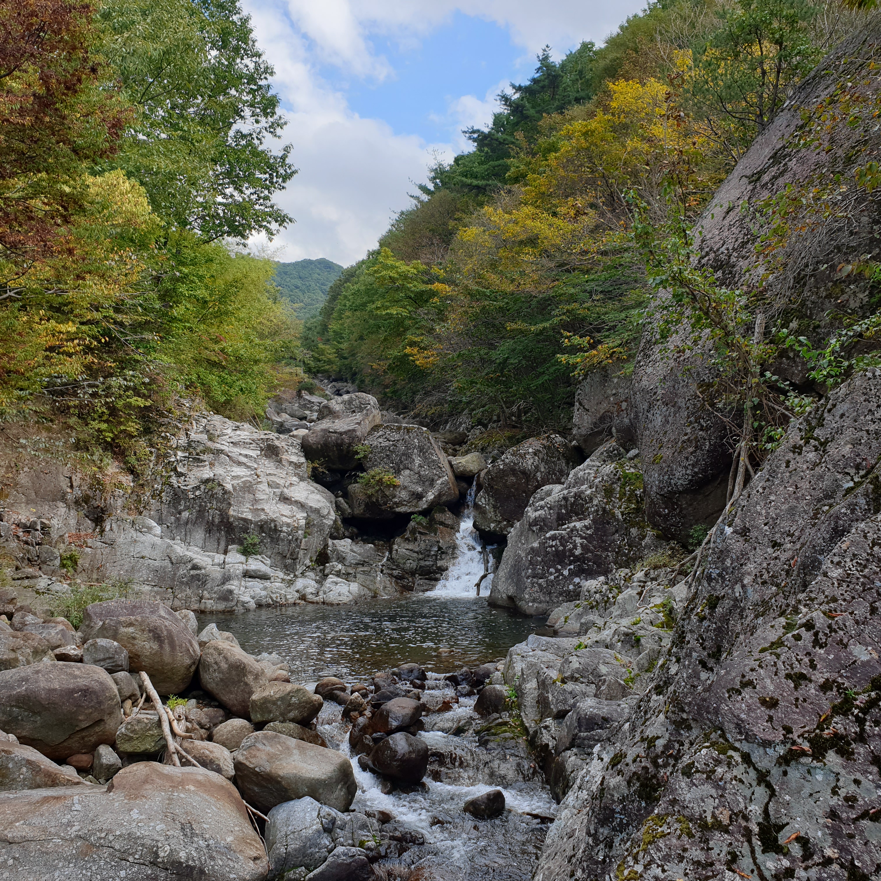  지리산 광아리점 계곡에 단풍
