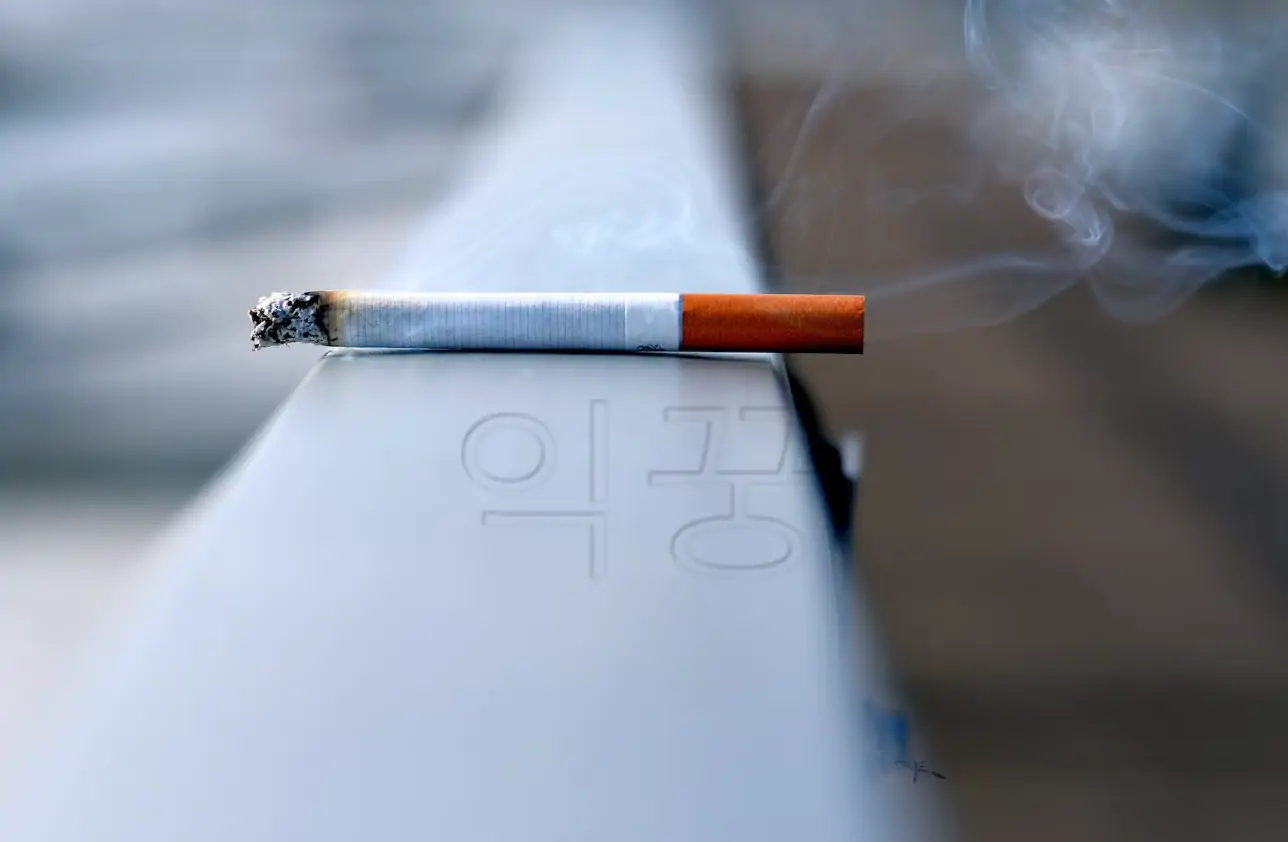 흡연 관련 담배 사진