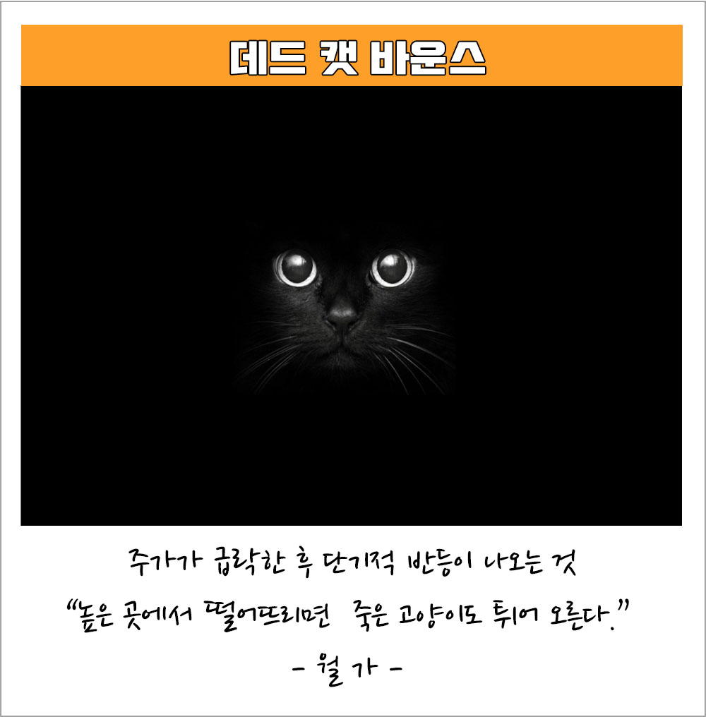 데드 캣 바운스 패턴 차트 : 비트코인 하락장 단기적 반등 데드 캣 바운스 패턴 차트 : 비트코인 하락장 단기적 반등