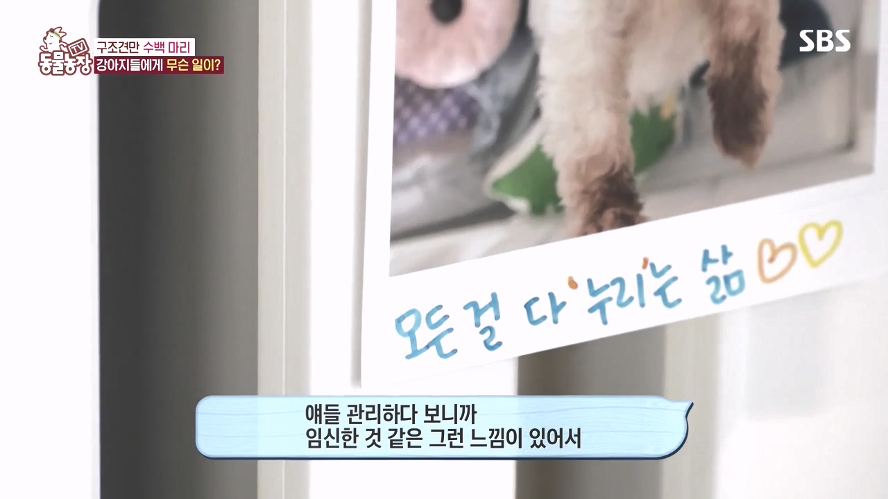 TV 동물농장.E1142.231023p-NEXT.mp4_20231022_171750.683.jpg