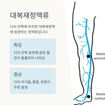 하지 날짜 24절기 망종 소서 전통음식까지_4